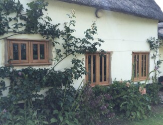 Oak Windows